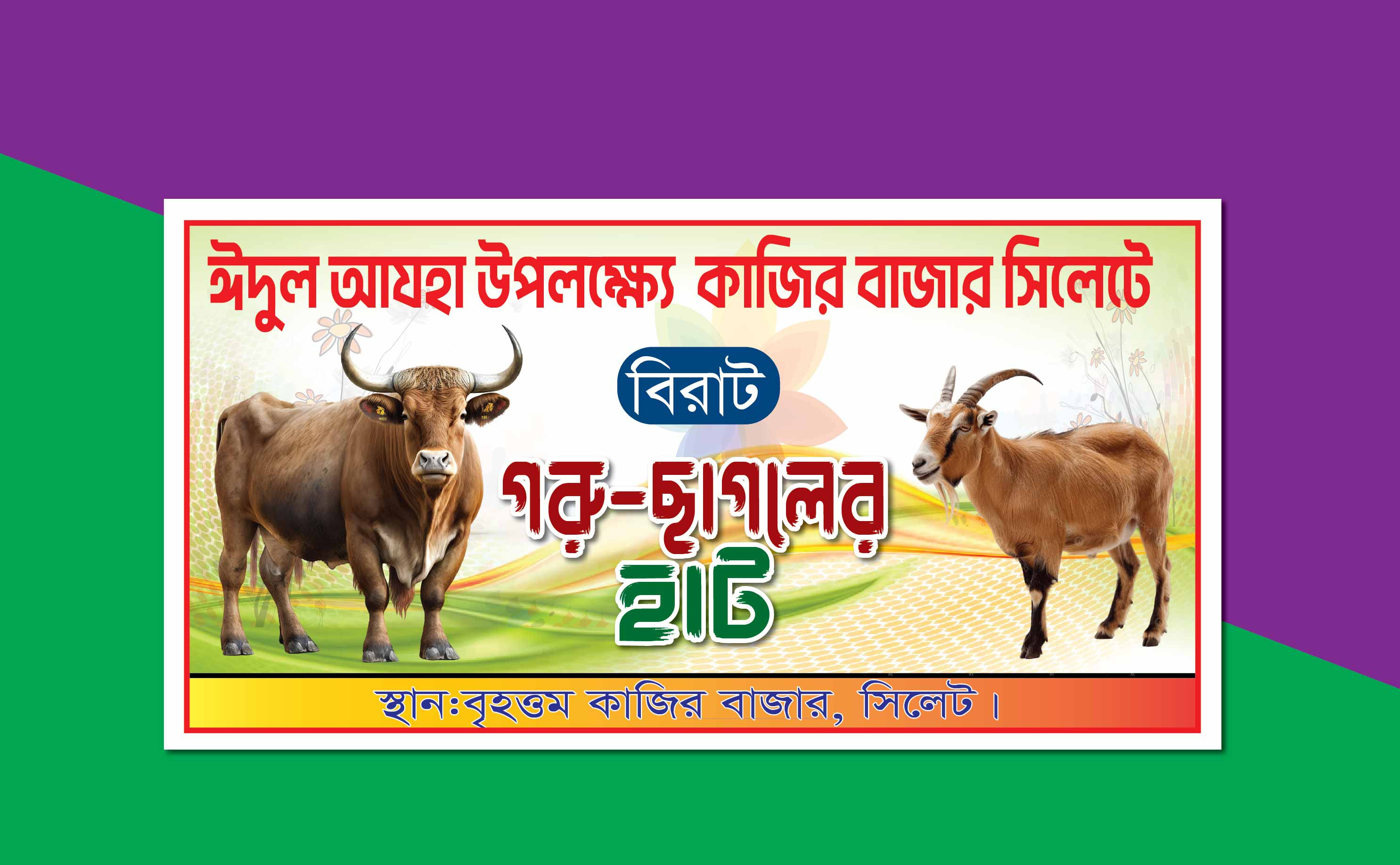 ডিজাইন