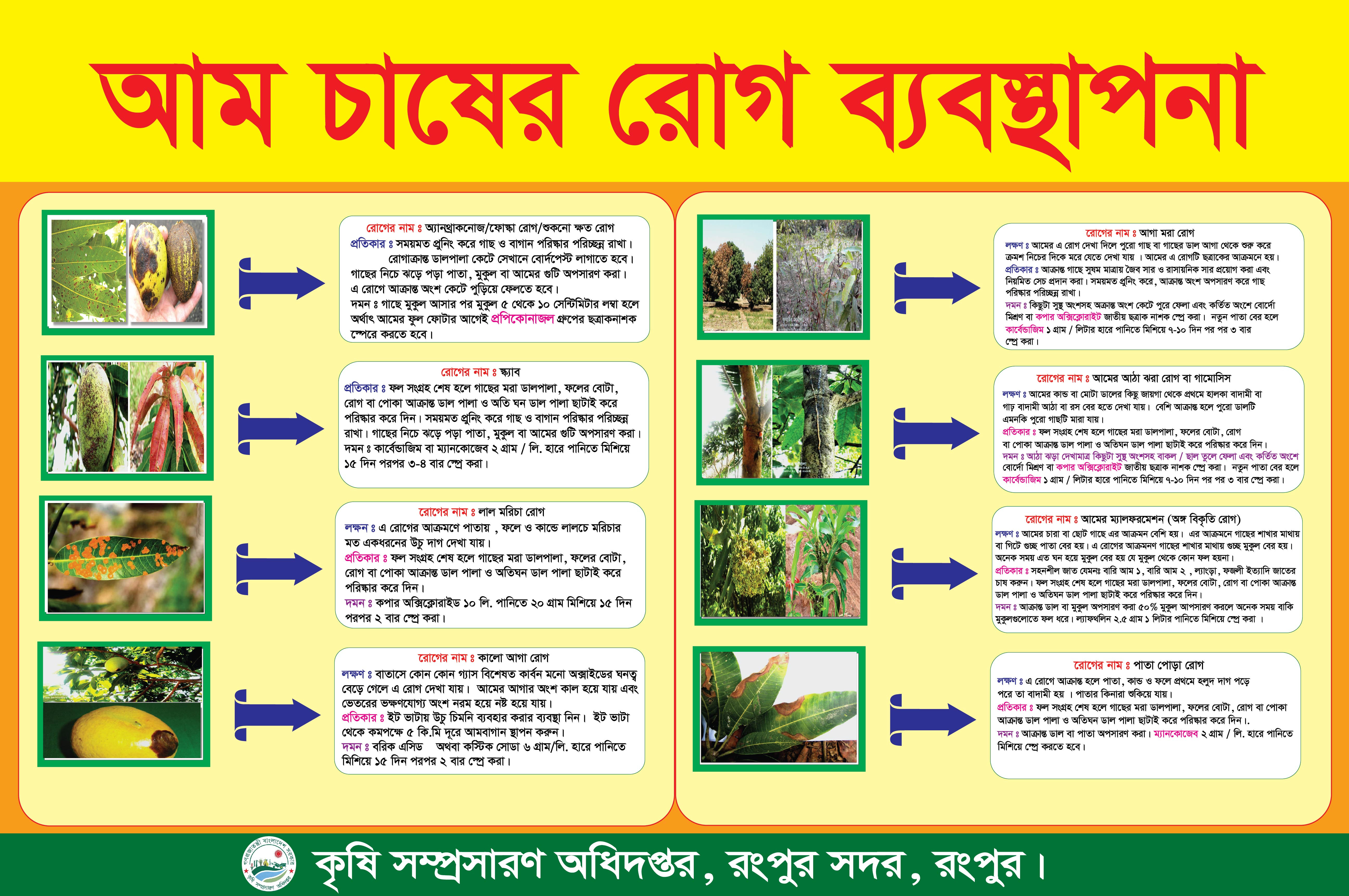 ডিজাইন