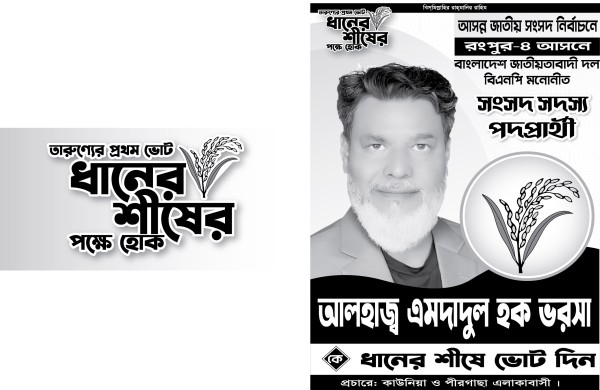 বিএনপির ধানের শীষ মার্কা এমপি প্রার্থী পোস্টার গ্রাফিক্স ডিজাইন ফাইল