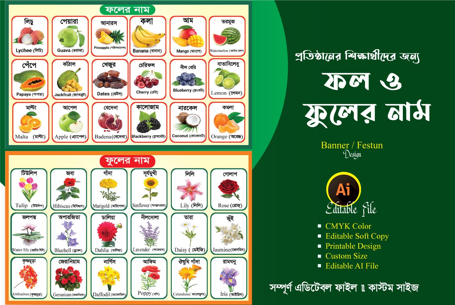 স্কুল প্রতিষ্ঠানের জন্য ফুল ও ফলের নামের ওয়াল ব্যানার